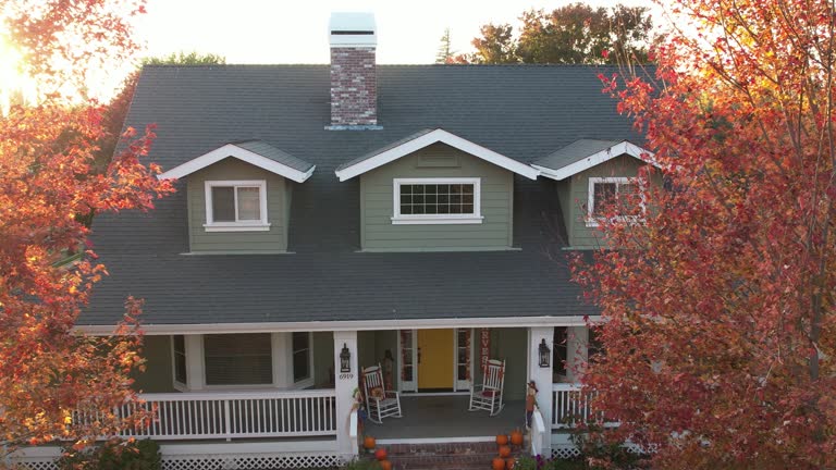 Best Chimney Flashing Repair  in Tracyton, WA
