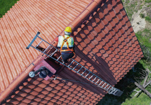 Best Asphalt Shingle Roofing  in Tracyton, WA